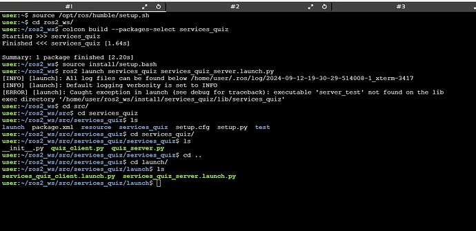 lauch file error