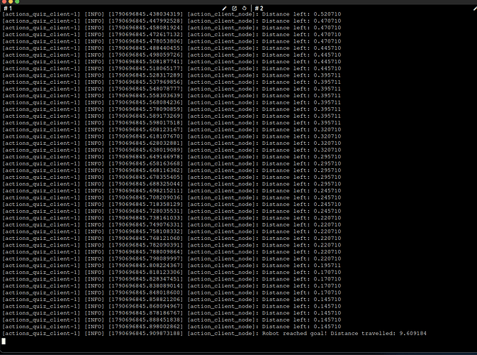 action_client_terminal