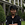 billy.nugraha.s - Original Poster